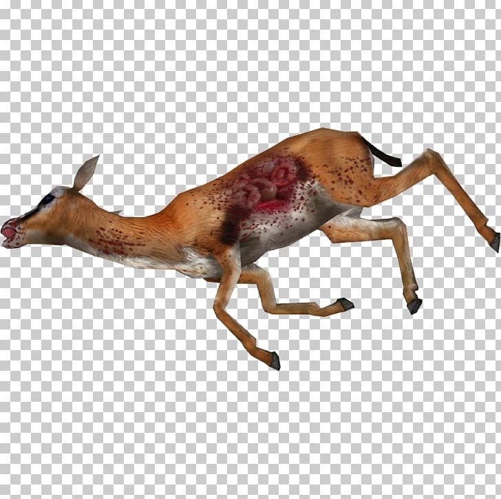 Impala Gazelle Deer Antelope Death PNG, Clipart, Animal, Animals, Antelope, Cause Of Death, Cheetah Free PNG Download
