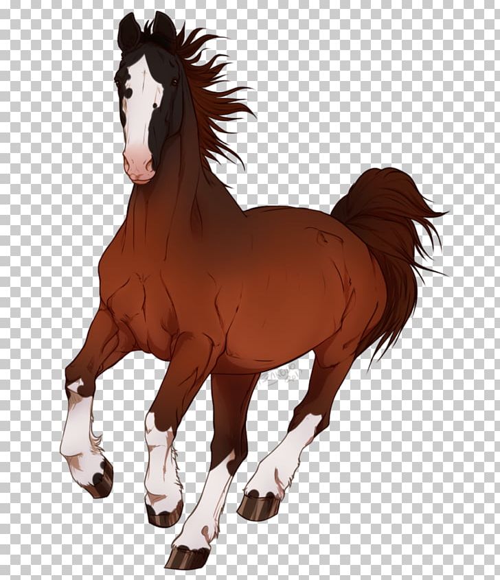 Mustang Foal Stallion Mare Colt PNG, Clipart,  Free PNG Download