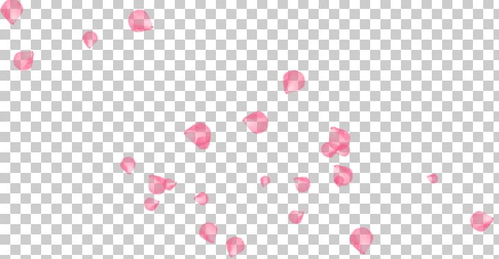 Software Petal Pattern PNG, Clipart, Angle, Christmas Decoration, Circle, Color, Decorative Elements Free PNG Download