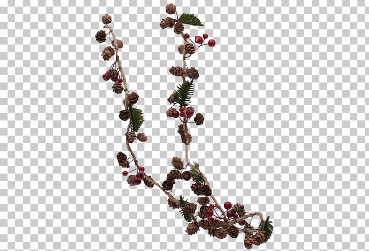 Chokeberry Pink Peppercorn PNG, Clipart, Berry, Branch, Chokeberry, Fruit, Pink Peppercorn Free PNG Download