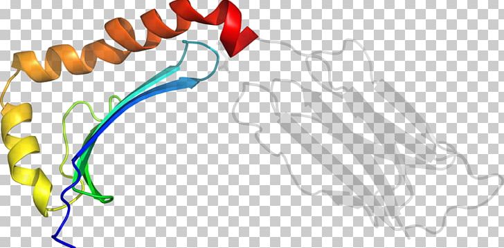 Line Organism Point PNG, Clipart, Area, Art, Hb 1, He 2, Homo Sapiens Free PNG Download