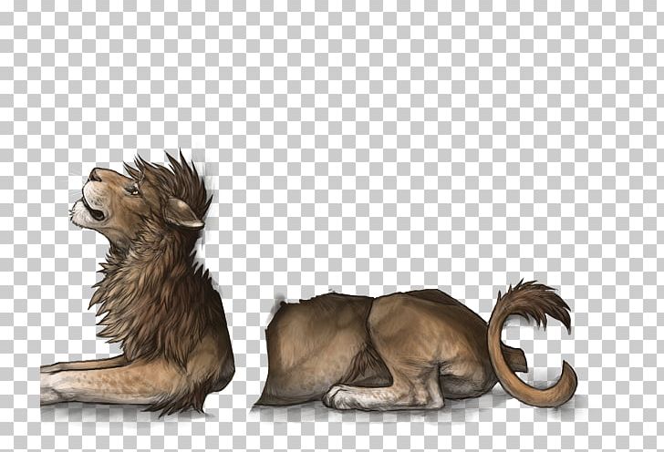 Lion Cat Cougar African Wild Dog Felidae PNG, Clipart, African Wild Dog, Animals, Big Cat, Big Cats, Boerboel Free PNG Download