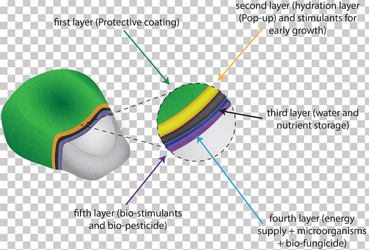 Protective Coating Seed Pesticide Organic Food PNG, Clipart, Angle, Circle, Coating, Diagram, Fertilisers Free PNG Download