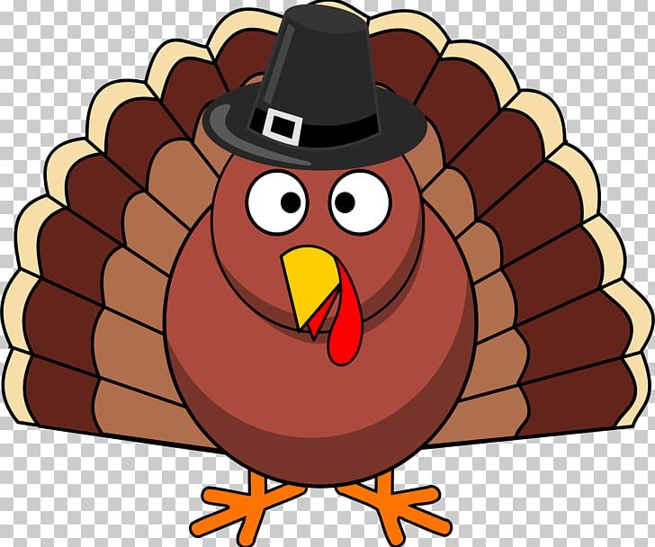 Thanksgiving Day Turkey Meat PNG, Clipart, Beak, Bird, Cartoon, Chicken, Com Free PNG Download