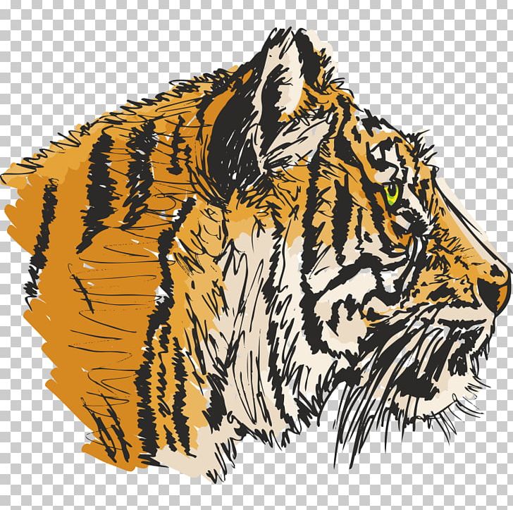 Tiger PNG, Clipart, Animals, Art, Big Cats, Canvas Print, Carnivoran Free PNG Download