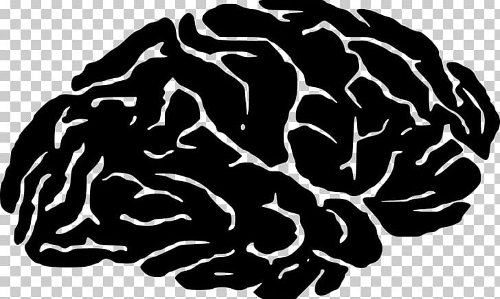 Brain Silhouette Skull PNG, Clipart, Art, Black And White, Brain, Drawing, Human Brain Free PNG Download