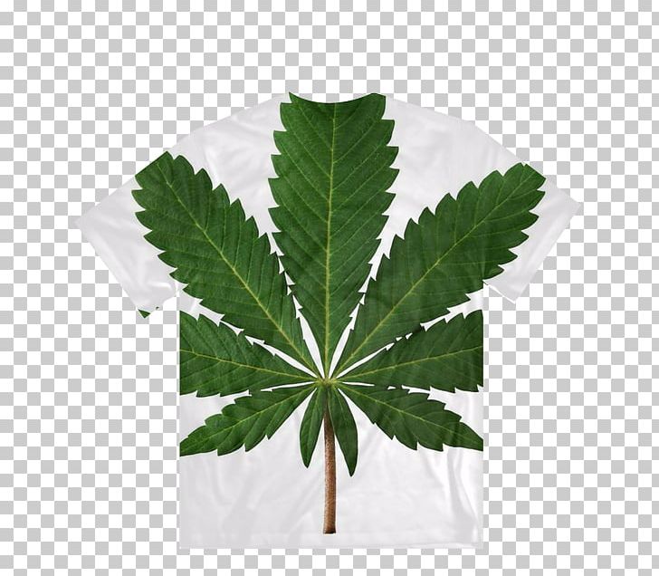 Medical Cannabis Health Medicine Legalization PNG, Clipart, Cannabis, Cannabis Cultivation, Cannabis Sativa, Cannabis Smoking, Dispensary Free PNG Download