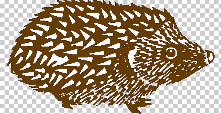 North African Hedgehog Domesticated Hedgehog Four-toed Hedgehog British Hedgehog Preservation Society European Hedgehog PNG, Clipart, Animal, Atelerix, Black And White, British, Care Free PNG Download