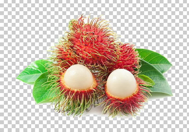 Rambutan Tropical Fruit Durian Orange PNG, Clipart, Durian, Food, Fruit, Fruit Nut, Grafting Free PNG Download