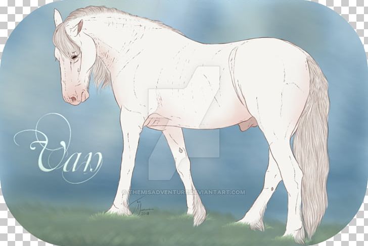 Stallion Mustang Foal Mare Colt PNG, Clipart, Bridle, Colt, Foal, Grass, Halter Free PNG Download