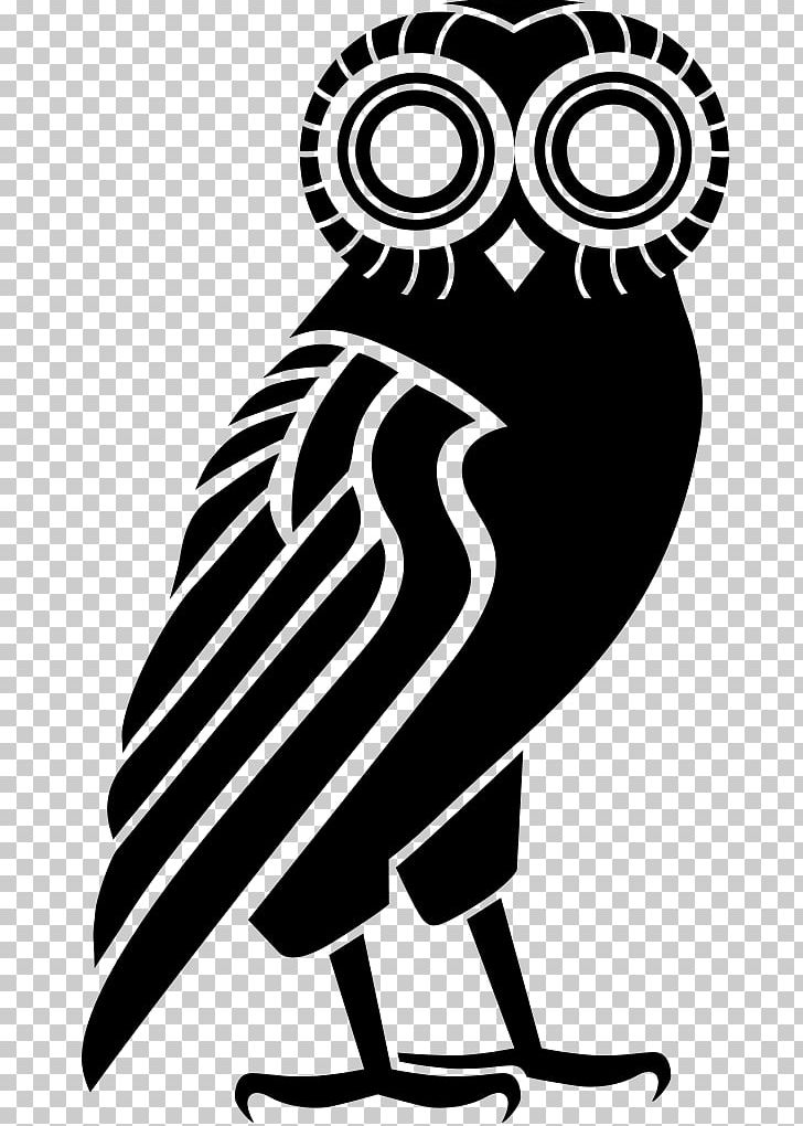 Art Beak White .com PNG, Clipart, Art, Artwork, Beak, Bird, Bird Of Prey Free PNG Download