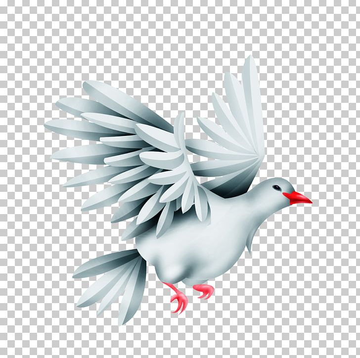 Bird Green Pigeon Rock Dove PNG, Clipart, Animals, Beak, Columbidae, Computer Wallpaper, Download Free PNG Download