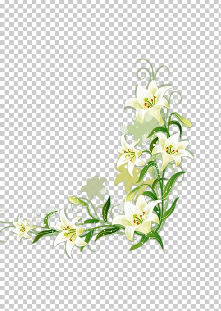 Lilium Candidum Border Flowers PNG, Clipart, Background White, Black White, Border Flowers, Branch, Cut Flowers Free PNG Download