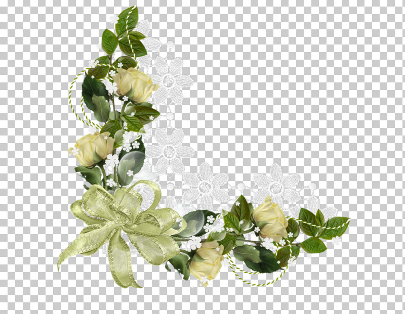 Ivy PNG, Clipart, Flower, Ivy, Ivy Family, Leaf, Plant Free PNG Download
