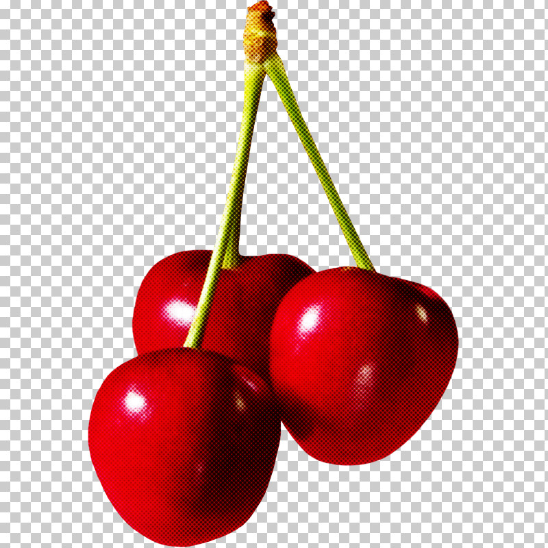 Cherry Fruit Plant Tree Currant PNG, Clipart, Cherry, Currant, Drupe, Food, Fruit Free PNG Download