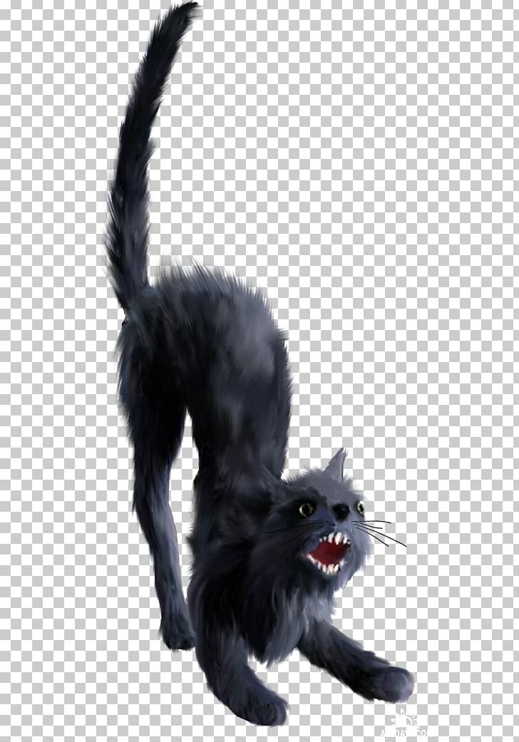 Black Cat Kitten Bombay Cat Whiskers Nebelung PNG, Clipart, Animal, Animals, Black Cat, Bombay Cat, Carnivoran Free PNG Download