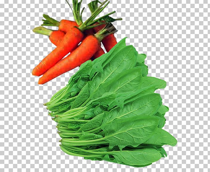 Carrot Liangfen Vegetable Food Carotene PNG, Clipart, Blood, Chard, Eating, Food, Fruits And Vegetables Free PNG Download