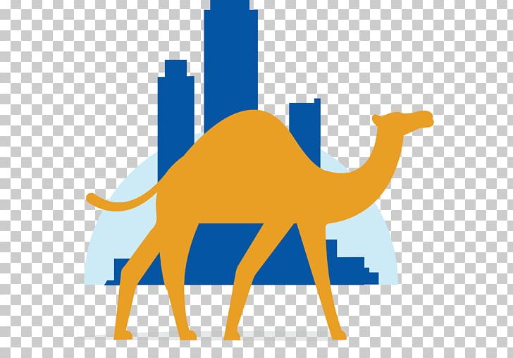 Dromedary Bactrian Camel Startup Company Innovation Camel Racing PNG, Clipart, Animal, Arabian Camel, Area, Bactrian Camel, Camel Free PNG Download