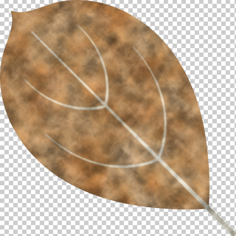 Autumn Leaf Autumn Color PNG, Clipart, Analytic Trigonometry And Conic Sections, Autumn Color, Autumn Leaf, Circle, Mathematics Free PNG Download