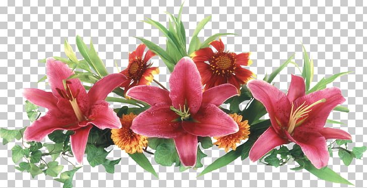 Lilium Flower PNG, Clipart, Color, Cut Flowers, Digital Image, Display Resolution, Encapsulated Postscript Free PNG Download