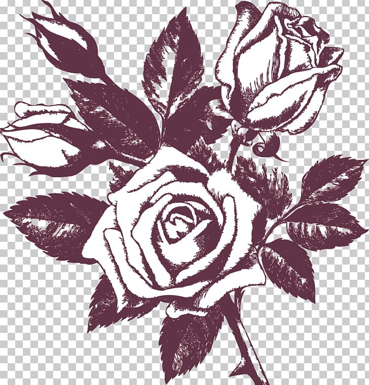 Rose Paper Drawing Printing White PNG, Clipart, Bara, Black And White, Black Rose, Blue, Cut Flowers Free PNG Download