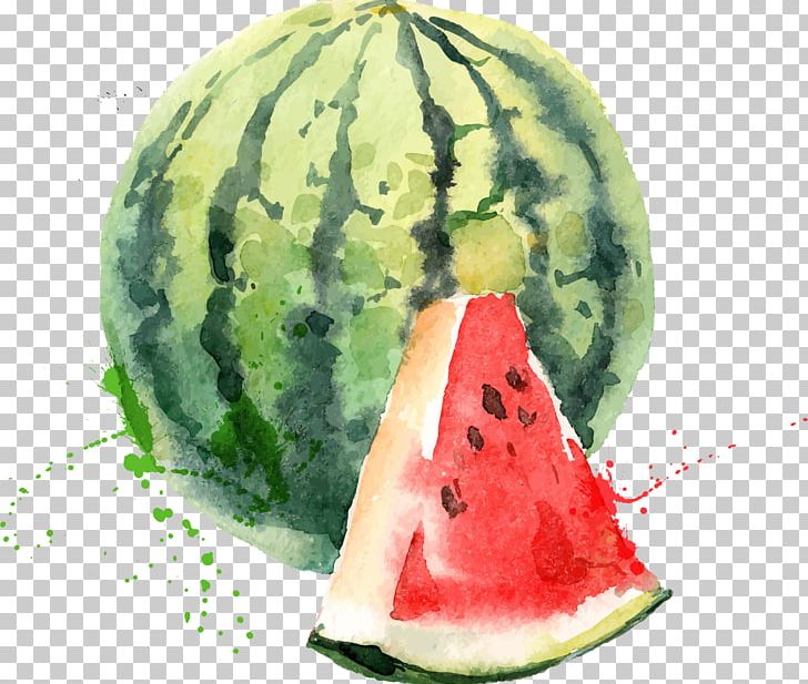 Watermelon PNG, Clipart, Canvas, Color, Decorative Patterns, Design, Dining Free PNG Download