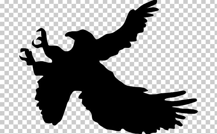 Bald Eagle Silhouette PNG, Clipart, Bald Eagle, Beak, Bird, Black And White, Drawing Free PNG Download