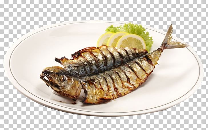 Barbecue Grill Fish Dish Roasting PNG, Clipart, Animals, Animal Source Foods, Aquarium Fish, Barbecue, Carnivorous Free PNG Download