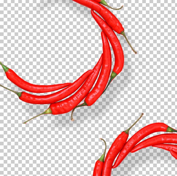 Birds Eye Chili Organic Food Cayenne Pepper Chili Pepper Chili Con Carne PNG, Clipart, Art, Bell Peppers And Chili Peppers, Birds Eye Chili, Capsicum, Design Element Free PNG Download