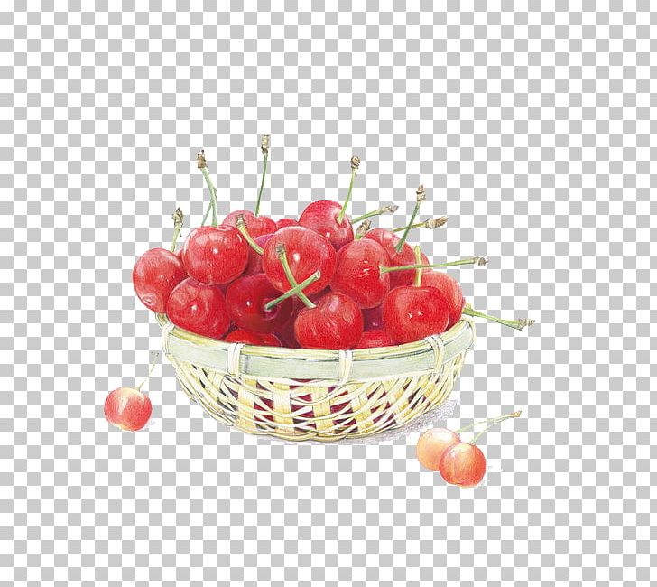 Cherry Painting Colored Pencil Auglis Illustration PNG, Clipart, Auglis, Cherries, Cherry Blossoms, Cherry Blossom Tree, Cherry Flower Free PNG Download
