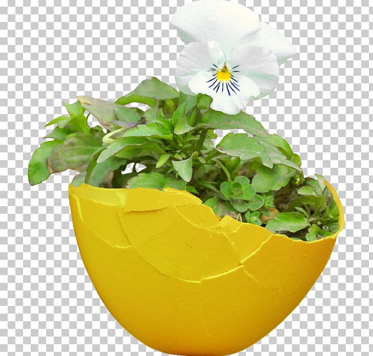 Flowerpot Tulip PNG, Clipart, 14 January, 15 May, 2017, Blog, Desktop Wallpaper Free PNG Download