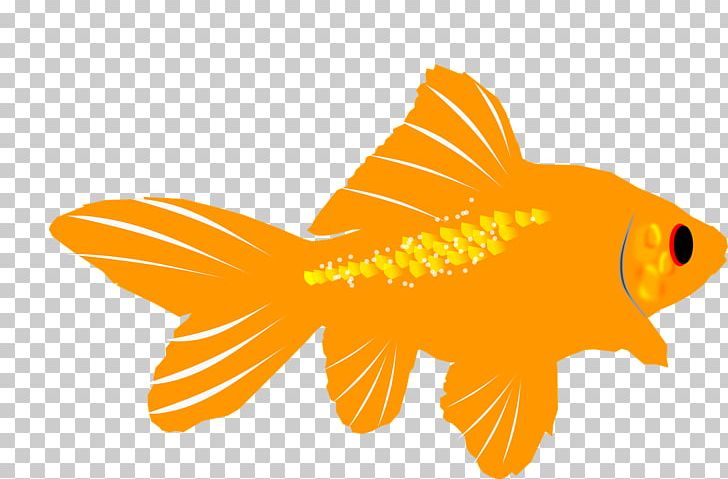 Goldfish Aquarium PNG, Clipart, Animals, Aquarium, Bony Fish, Fin, Fish Free PNG Download