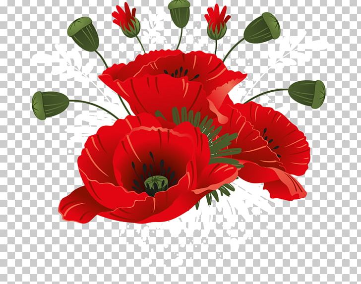 Remembrance And Reconciliation Day Ukraine Daytime Remembrance Poppy PNG, Clipart, 8 May, Annual Plant, Birthday, Bouquet Of Flowers Journal, Computer Free PNG Download