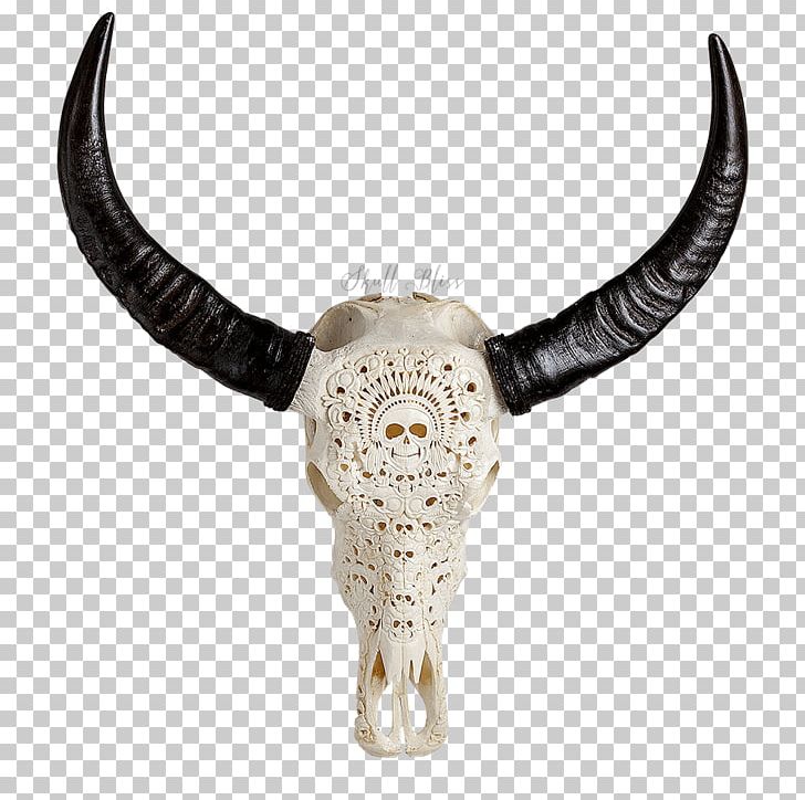 Texas Longhorn Bison Goat Animal Skulls PNG, Clipart, American Bison, Animals, Animal Skulls, Bison, Bone Free PNG Download