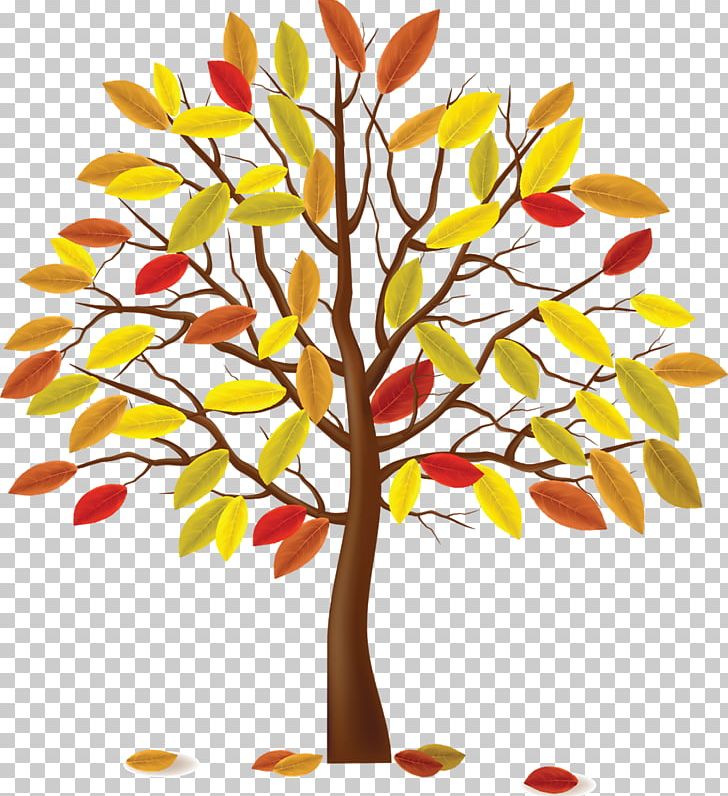The Four Seasons Autumn Tree PNG, Clipart, Autumn, Branch, Flower, Flowering Plant, Forest Free PNG Download