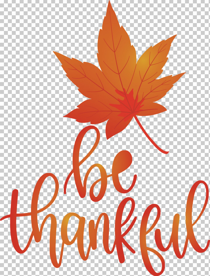 Thanksgiving Be Thankful Give Thanks PNG, Clipart, Be Thankful, Biology, Give Thanks, Leaf, Petal Free PNG Download