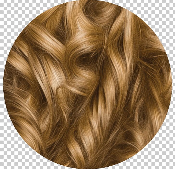 Blond Hair Coloring Herbal Essences Brown Hair PNG, Clipart, Blond, Brown Hair, Caramel Color, Hair, Hair Coloring Free PNG Download