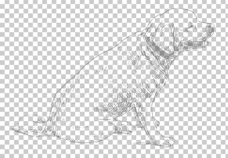 Dog Breed Puppy Retriever Sporting Group Companion Dog PNG, Clipart, Animals, Artwork, Black And White, Breed, Carnivoran Free PNG Download