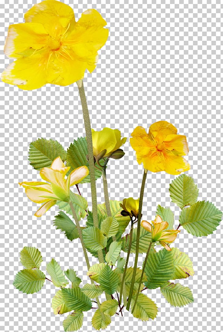 Flower PNG, Clipart, Annual Plant, Blo, Cartoon, Cartoon Decorations Image, Decoration Free PNG Download