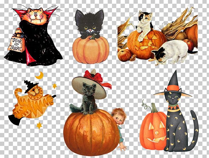 Halloween Pumpkin Thanksgiving PNG, Clipart, Calabaza, Carnivoran, Cat, Cat Like Mammal, Cucurbita Free PNG Download