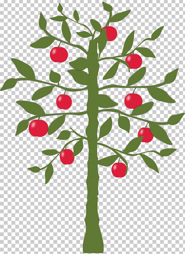 Lemon Fruit Tree Apple PNG, Clipart, Apple, Apple Tree, Asian Pear, Branch, Citrus Free PNG Download