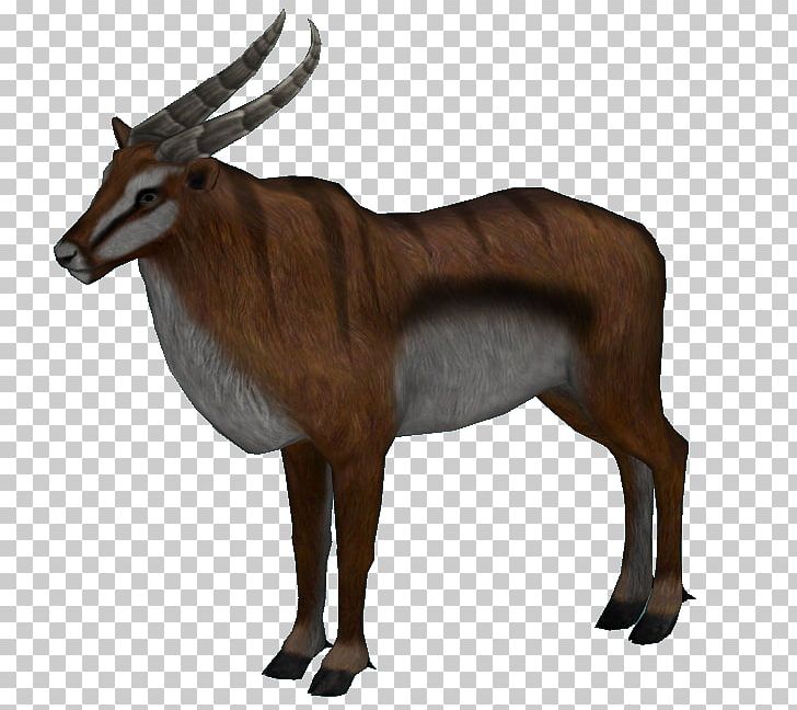 Gemsbok Thomson's Gazelle Impala Antelope PNG, Clipart, Animal, Animals, Antelope, Art, Cow Goat Family Free PNG Download