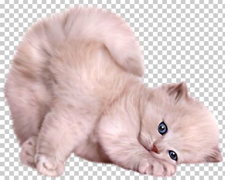 Photography Desktop PNG, Clipart, Animals, Asian Semi Longhair, Carnivoran, Cat Like Mammal, Cats Free PNG Download