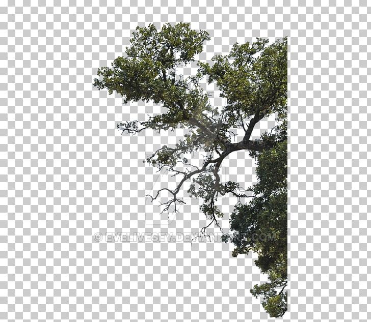 Tree Building Project PNG, Clipart, Architecture, Art, Branch, Building, Home Free PNG Download