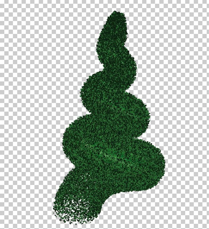 Tree Shrub Leaf PNG, Clipart, Grass, Green, Leaf, Nature, Organism Free PNG Download