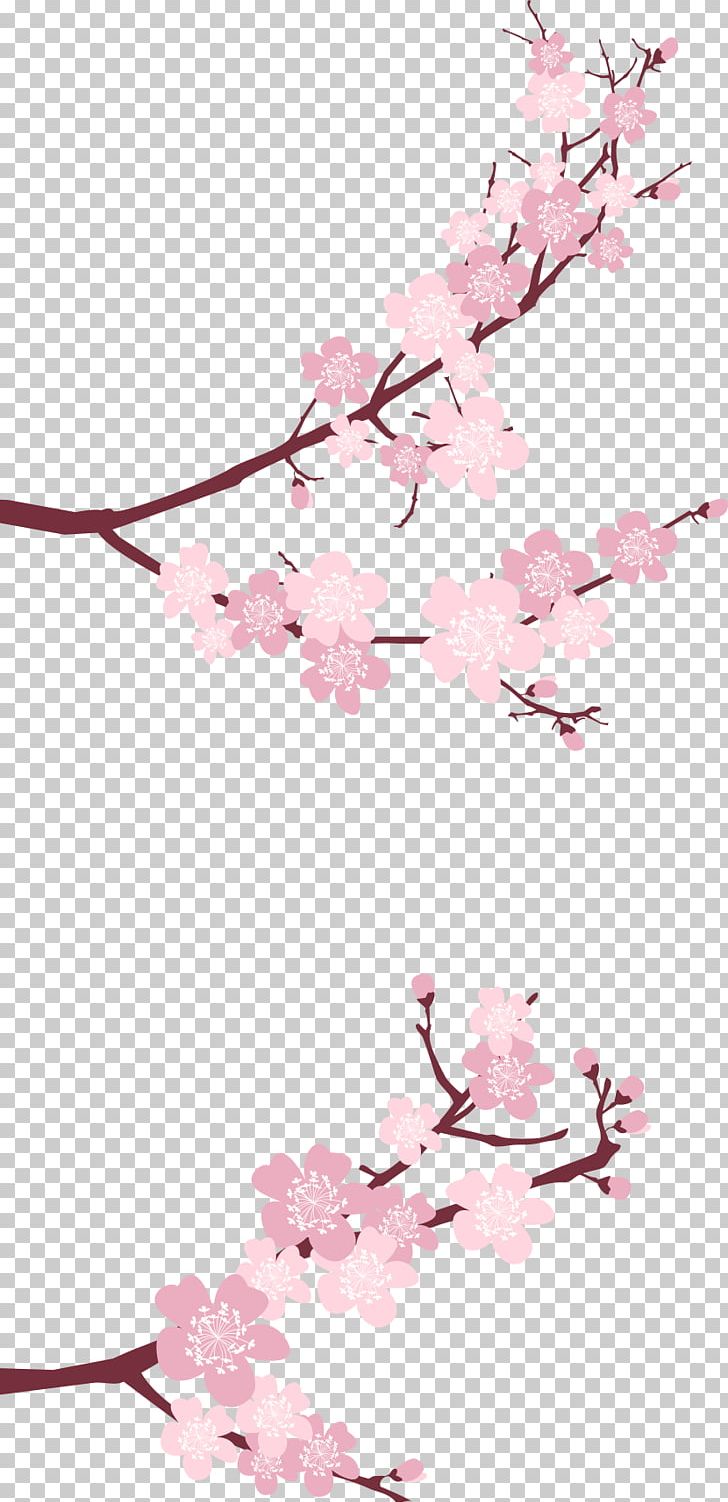 Cherry Blossom Flower Petal PNG, Clipart, Blossom, Branch, Cherry, Cherry Blossom, Floral Design Free PNG Download