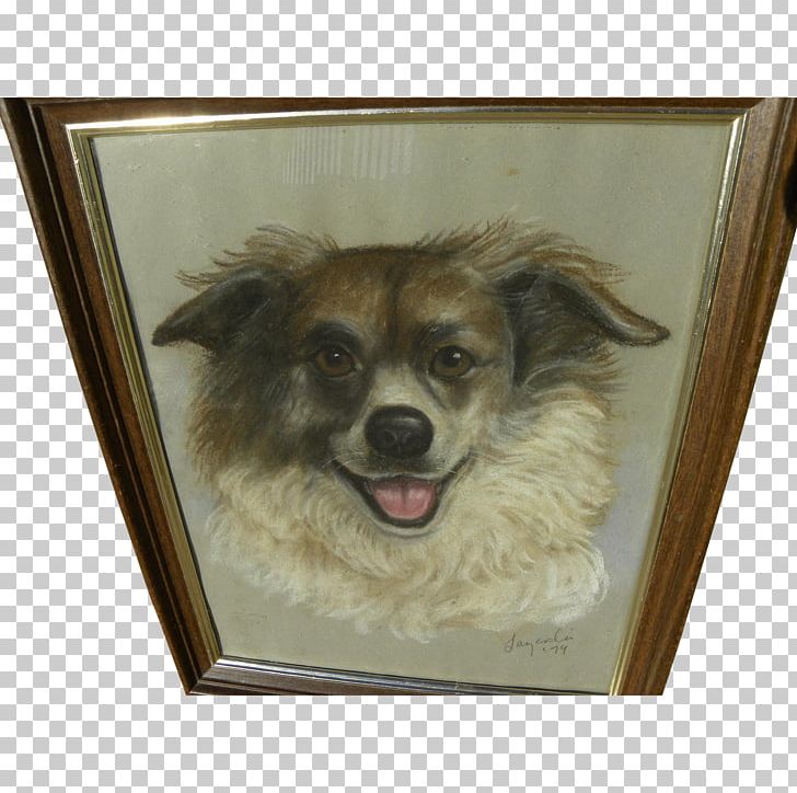Tibetan Spaniel Pomeranian Puppy Dog Breed Companion Dog PNG, Clipart, Animals, Breed, Carnivoran, Companion Dog, Crossbreed Free PNG Download