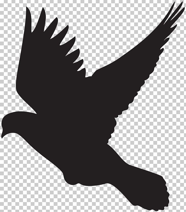 Columbidae Bird Flight Silhouette PNG, Clipart, Art, Art Museum, Beak, Bird, Bird Flight Free PNG Download