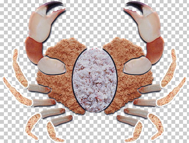 Dungeness Crab I PNG, Clipart, Animals, Animal Source Foods, Blue Sea, Chesapeake Blue Crab, Crab Free PNG Download
