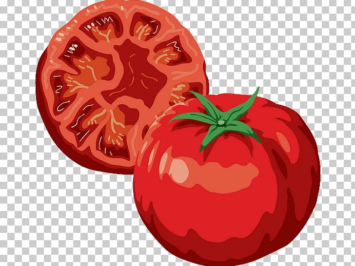 Plum Tomato Pizza Vegetable Italian Cuisine PNG, Clipart, Basil, Bush Tomato, Cucumber, Diet Food, Drawing Free PNG Download